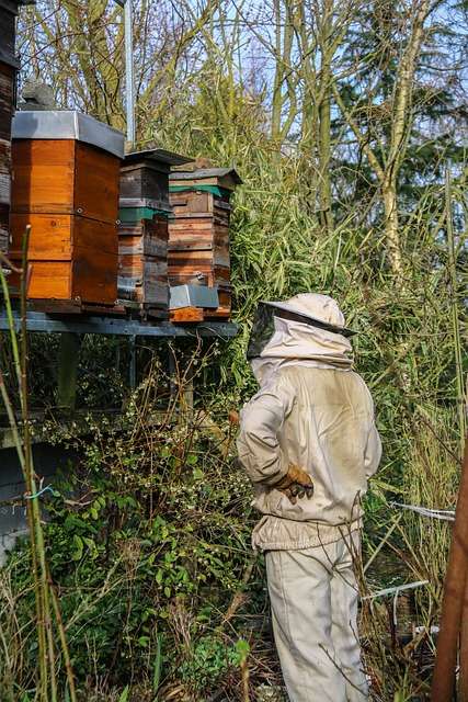beekeeper wearing beekeeping suit