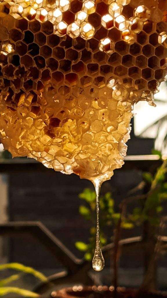 beekeeping important