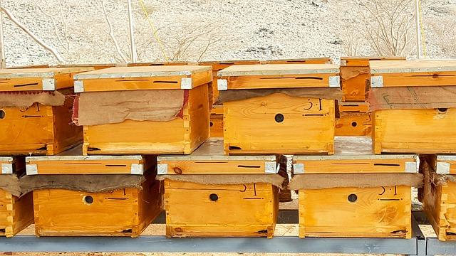 bee hive brood box