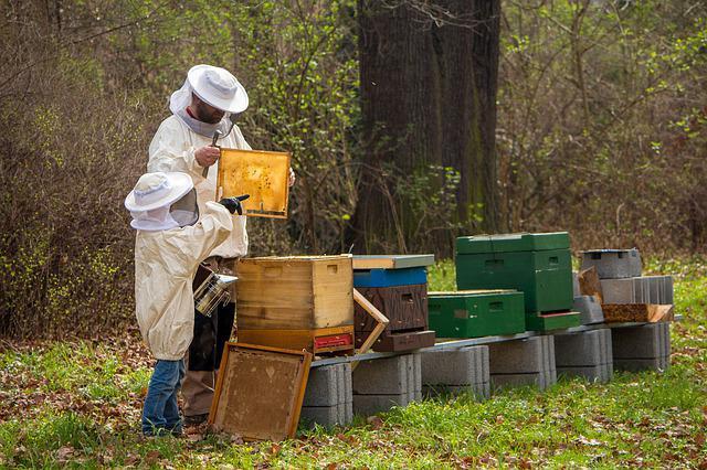Beekeeping Marketing