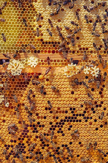 how to make granulated hone