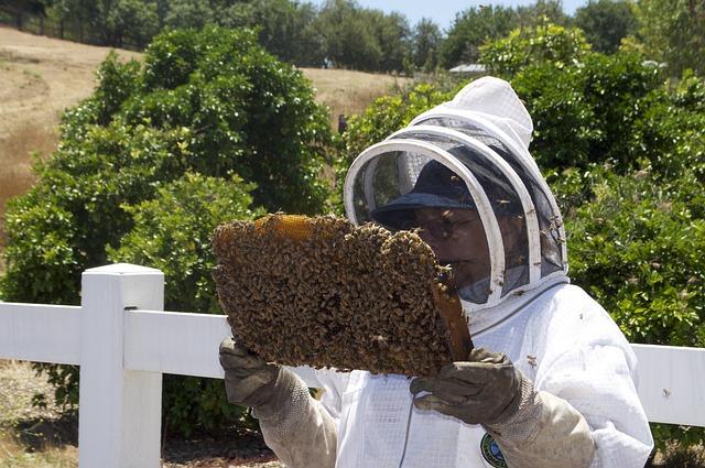 do beekeepers have the longest life expectancy