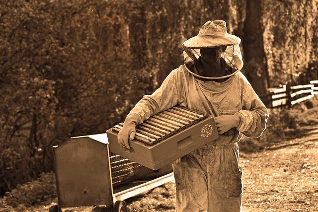 why do beekeepers live longer