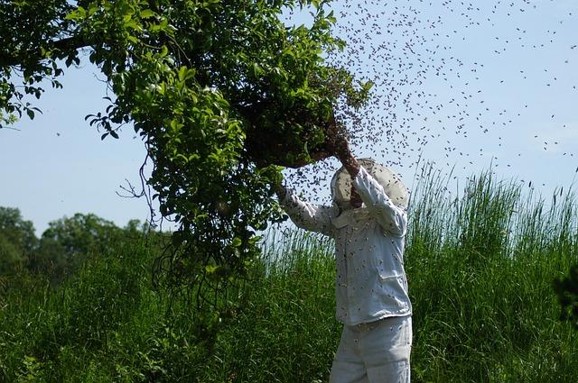beekeepers longest life expectancy