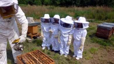beekeeper class near me