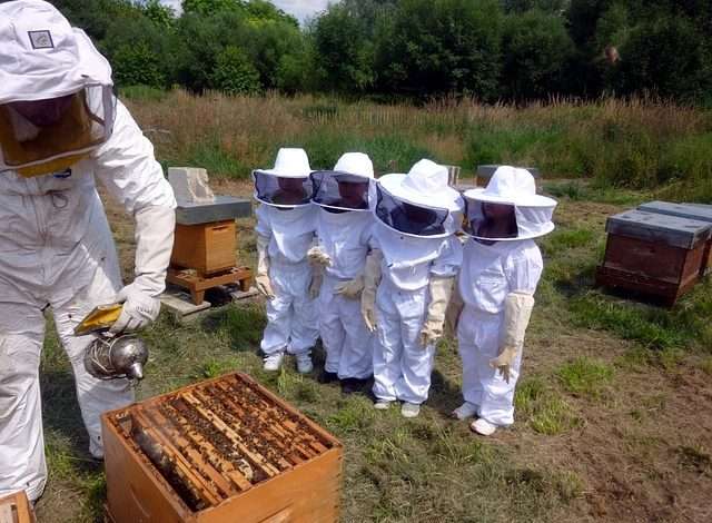 beekeeper class near me