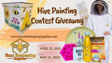 hive painting contest
