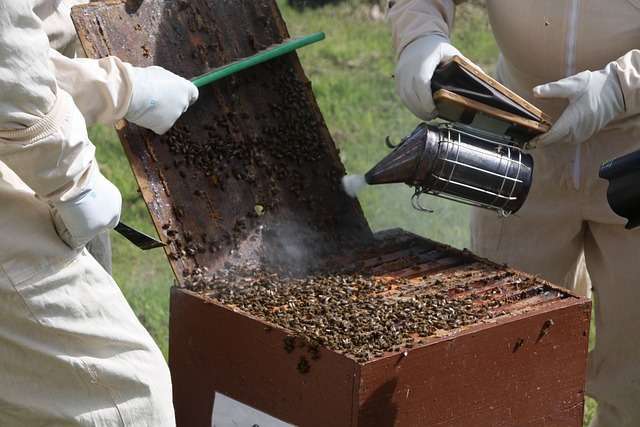 beekeeping safety equipment