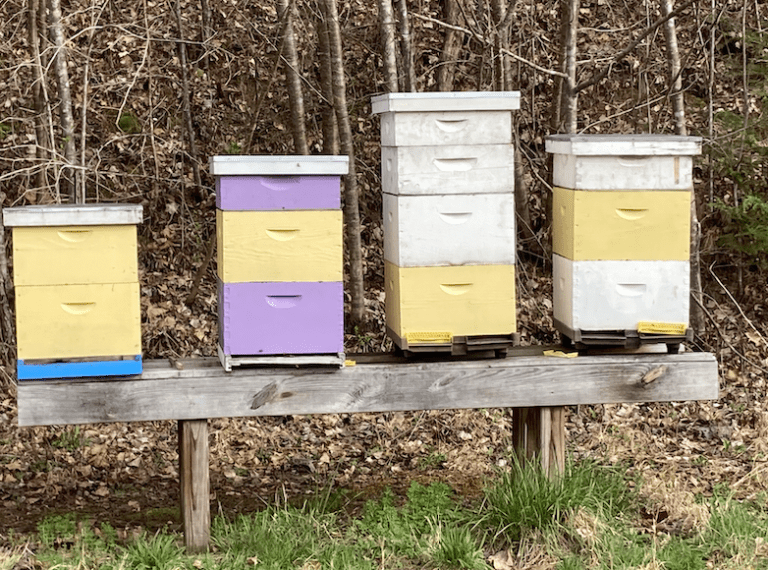 how many hives per acre
