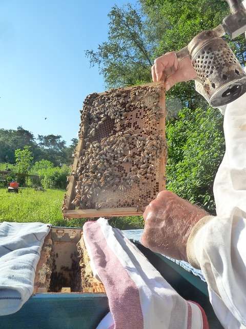 beekeeper education
