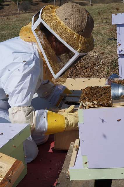 beekeepers guide