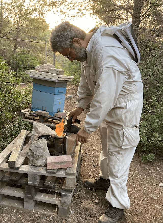Beekeeping in Malta