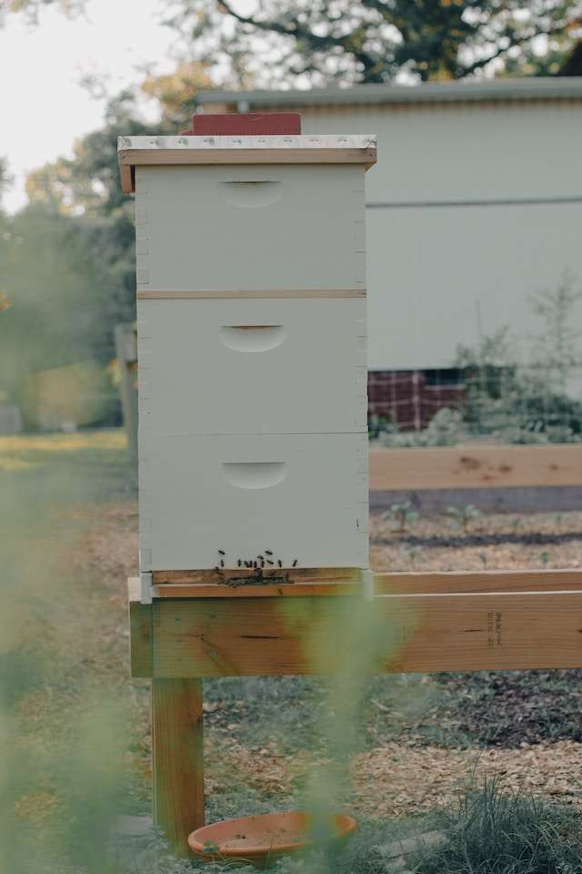 beekeeper insurance