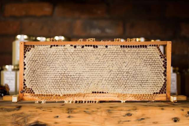 storing honeycomb