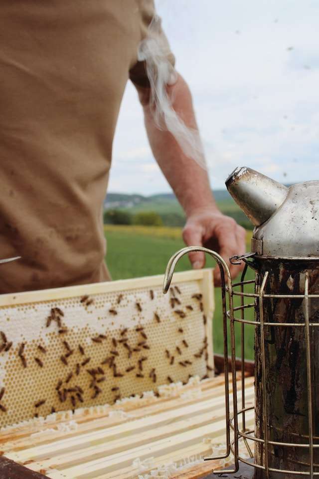 beekeeper bee suit