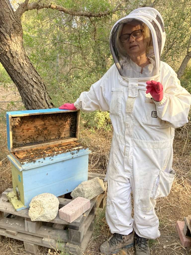 wash beekeeping suit
