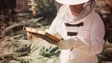 cleaning a bee suit