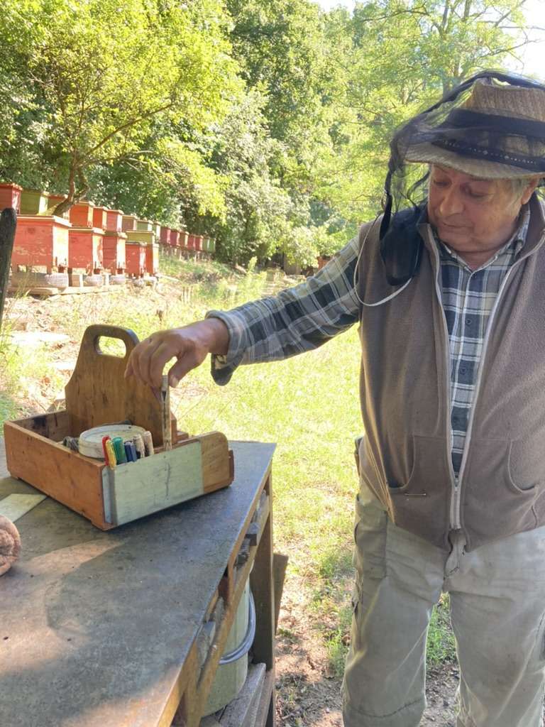 Beekeeping in Hungary