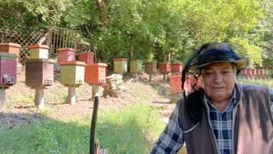 Hungarian beekeeper