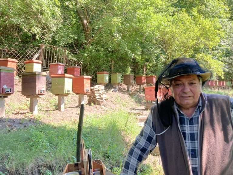 Hungarian beekeeper