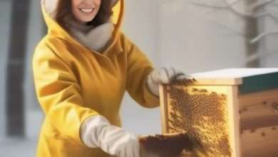 beekeeping over winter