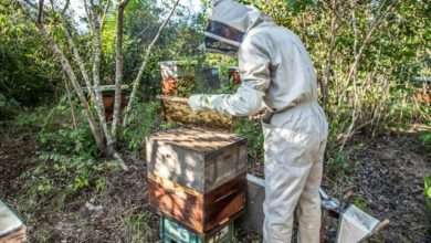 beekeeper suppliers