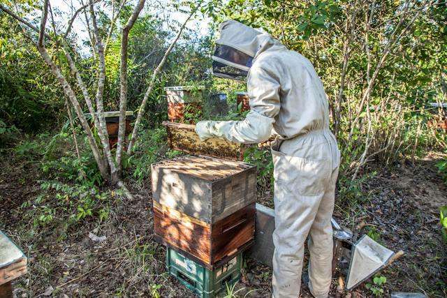 beekeeper suppliers