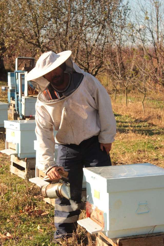 beekeeping equipment hives