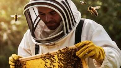 Crucial Mistakes to Avoid When Starting Out as a Beekeeper